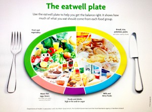 eatwell healthy balance portions medschl redshed standards agency kampala